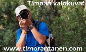 Timpan valokuvat